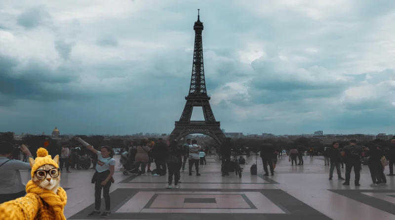 Cats in french floklore