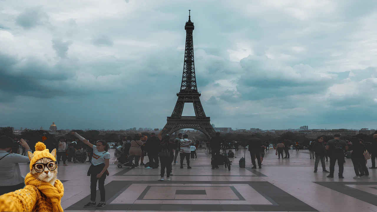 Cats in french floklore