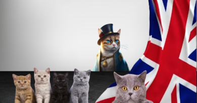 Exploring Cats in the Folklore of the United Kingdom