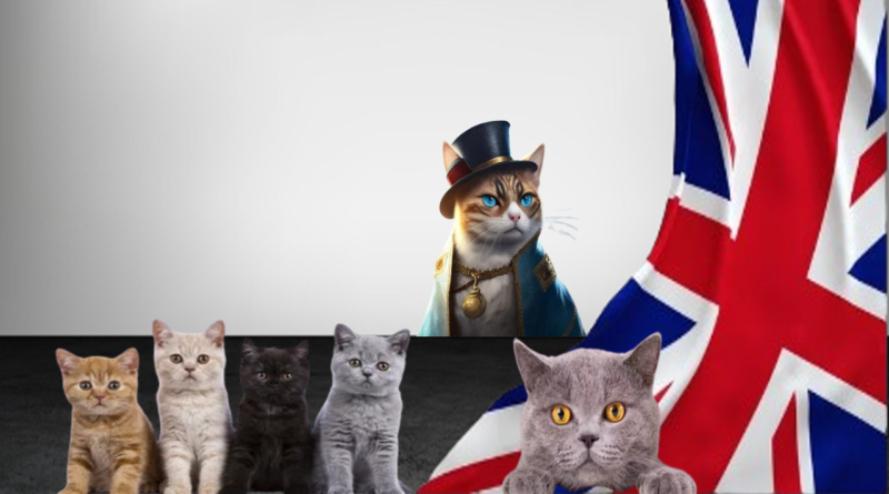Exploring Cats in the Folklore of the United Kingdom