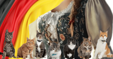 German Folklore and Cats