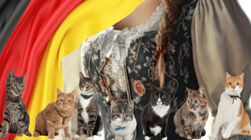 German Folklore and Cats