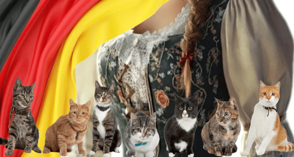 German Folklore and Cats