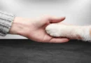 The Fascinating World of Feline Communication