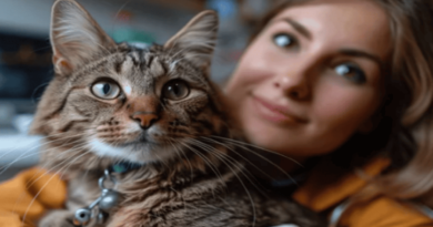 Key tips to Keep Your Cat Happy and Healthy