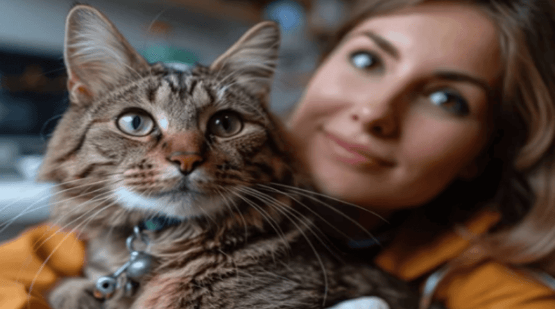 Key tips to Keep Your Cat Happy and Healthy