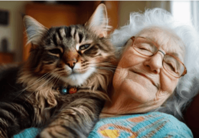 The Healing Power of Therapy Cats