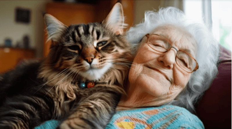 The Healing Power of Therapy Cats