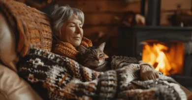 The Presence of Cats in the Hearth