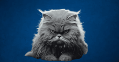 What Is Your Cat Saying