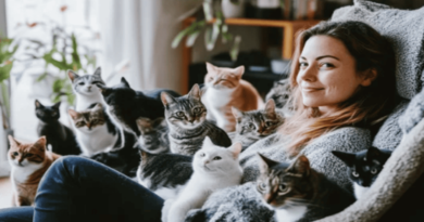 Why Do People Believe That Cats Have Multiple Lives?