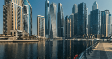 cat cafes in gulf countries72