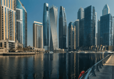 cat cafes in gulf countries72