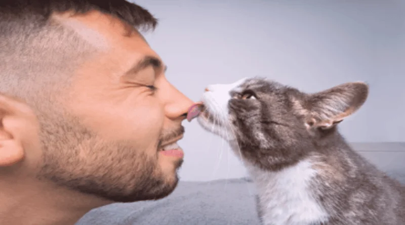 Cat Licks You