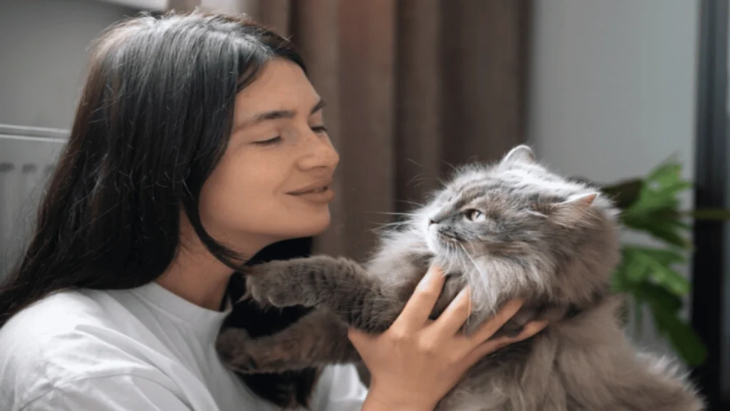 Calling Cats in Different Languages1