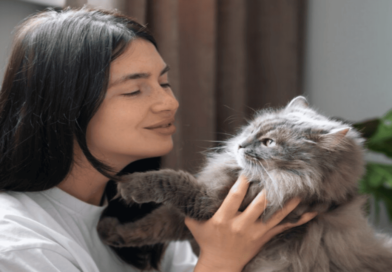 Calling Cats in Different Languages1