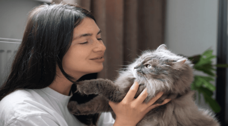 Calling Cats in Different Languages1