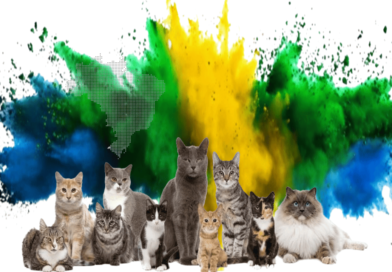 cats in brizilian culture