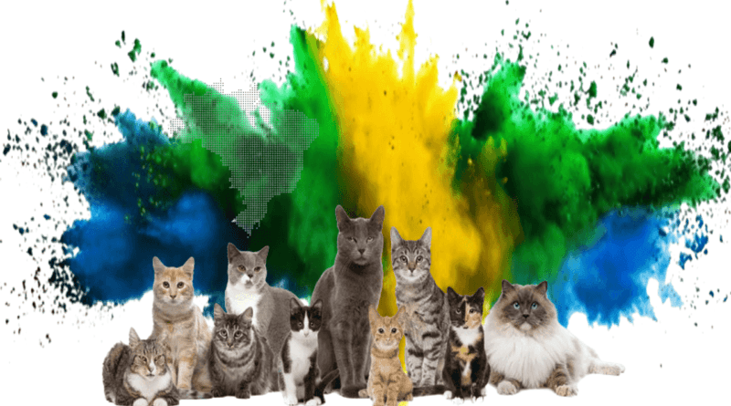 cats in brizilian culture