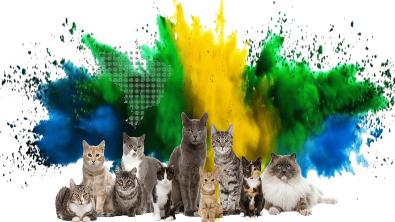 cats in brizilian culture