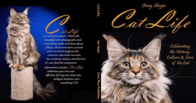 Cat Life Celebrating the History Culture and Love of the Cat
