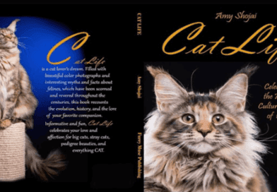 Cat Life Celebrating the History Culture and Love of the Cat