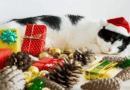 Christmas Foods That Are Toxic to Cats