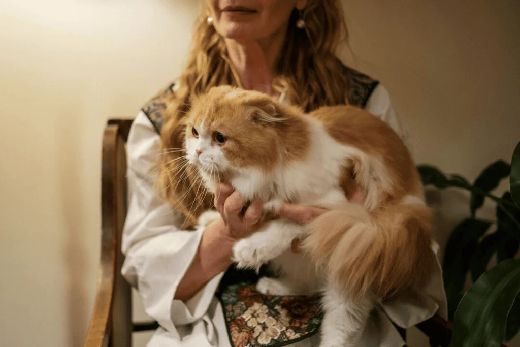 Does Purring Mean Your Cat Is Happy