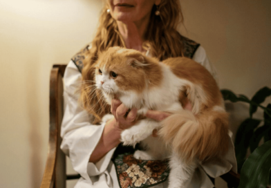 Does Purring Mean Your Cat Is Happy