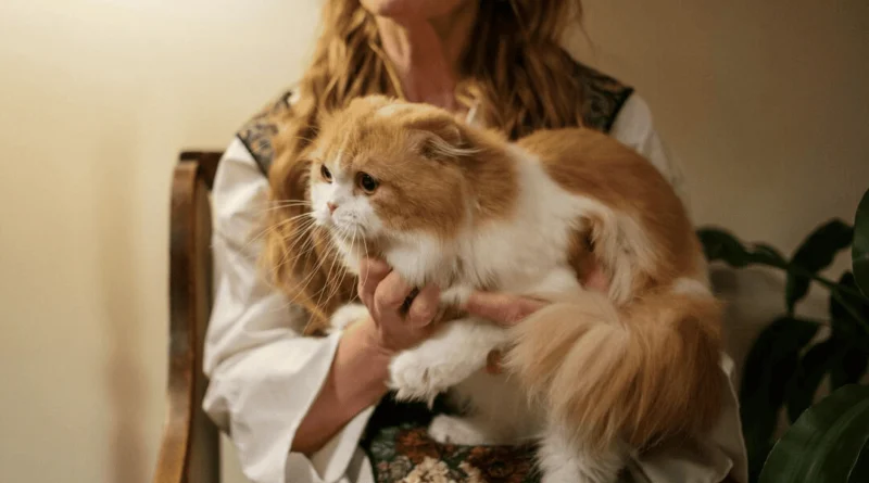Does Purring Mean Your Cat Is Happy