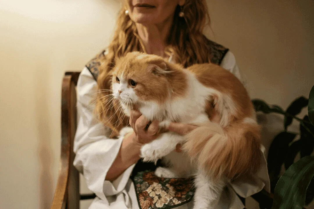 Does Purring Mean Your Cat Is Happy