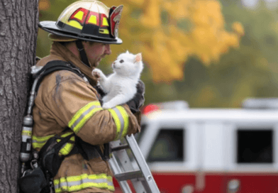 Tips for Ensuring Cats’ Safety During Emergencies