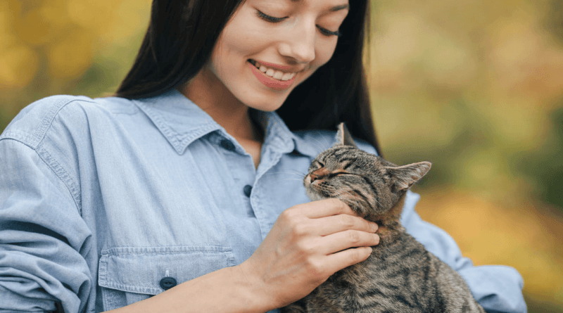 cats to adopt