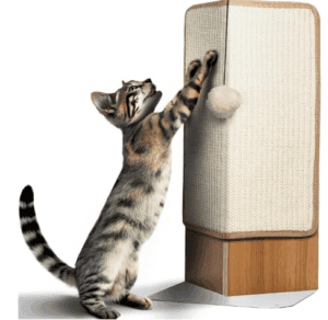 cat corner scratcher