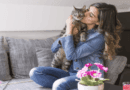 Five Tips on How to Make Your Cat Love You More