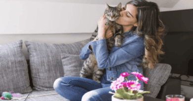 Five Tips on How to Make Your Cat Love You More