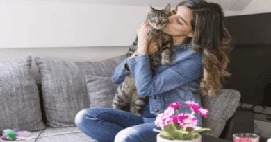 Five Tips on How to Make Your Cat Love You More