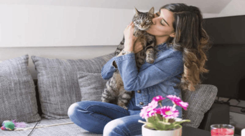 Five Tips on How to Make Your Cat Love You More