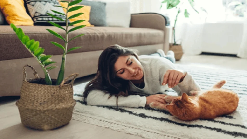 The Role of Games in a Cat’s Life