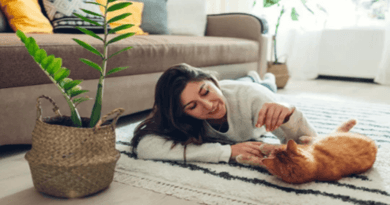 The Role of Games in a Cat’s Life