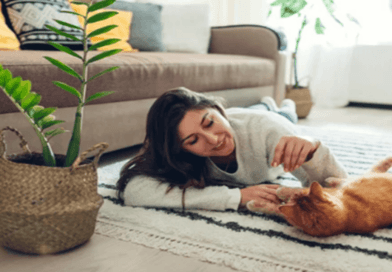 The Role of Games in a Cat’s Life