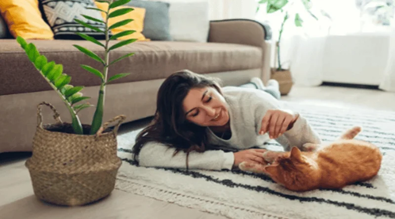 The Role of Games in a Cat’s Life