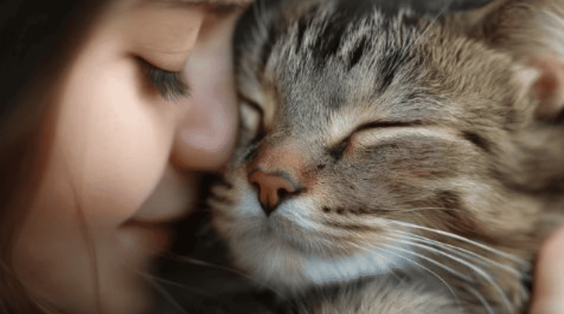 Why Is the Cat So Popular