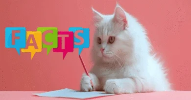 Fascinating Truths About Your Feline Friend