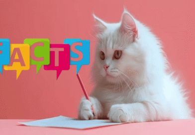Fascinating Truths About Your Feline Friend