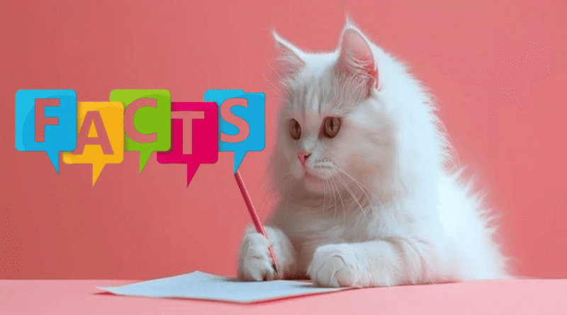 Fascinating Truths About Your Feline Friend