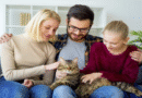 6 Ways Cats Become True Members of the Family