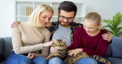6 Ways Cats Become True Members of the Family
