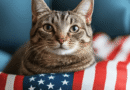 The Fascinating History of Cats in the United States