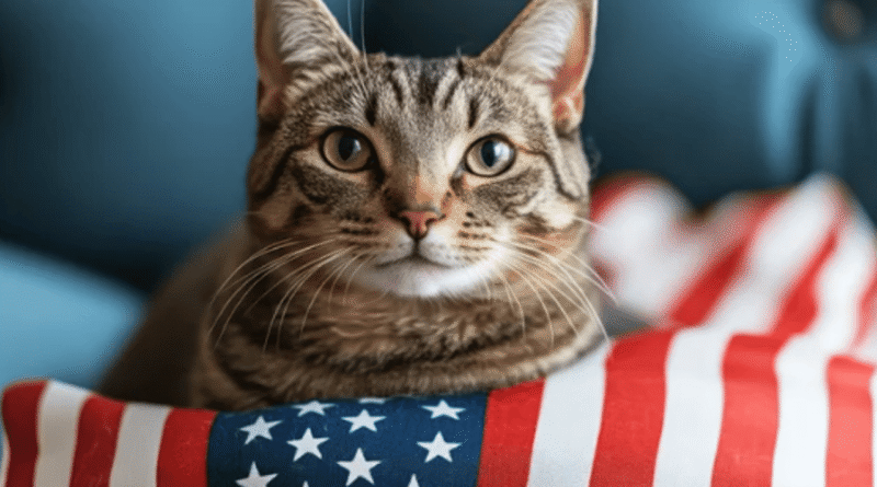 The Fascinating History of Cats in the United States